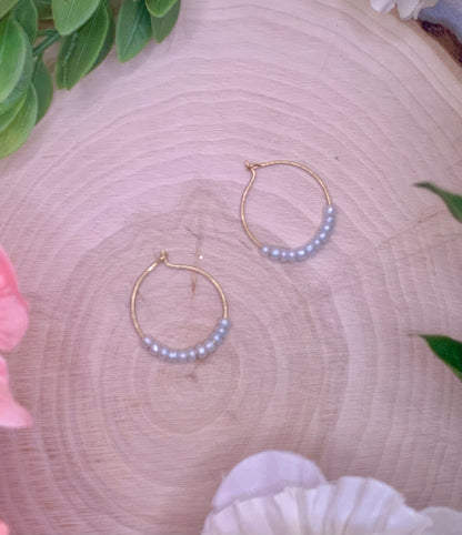 Garden Seed Hoops